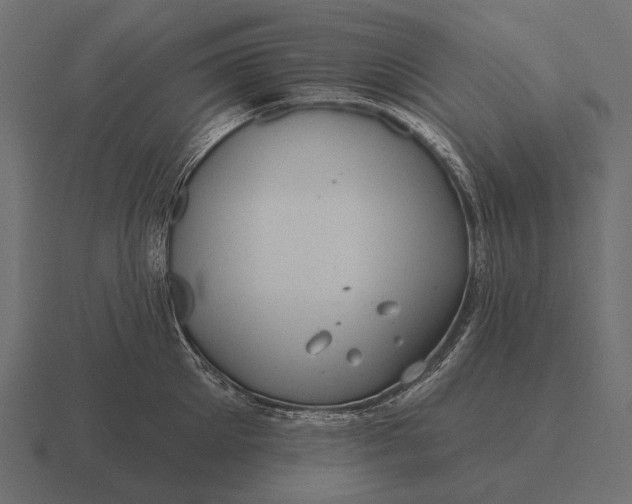 X0000116550905200912241553