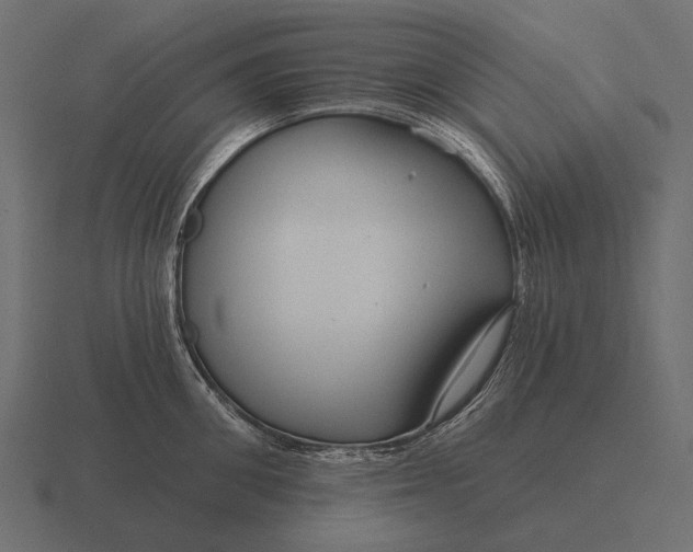 X0000116550906200912241553