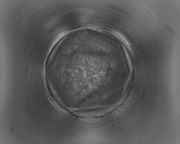 X0000116550907200912241553