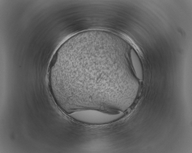 X0000116550908200912241553