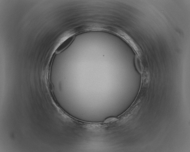 X0000116550909200912241553