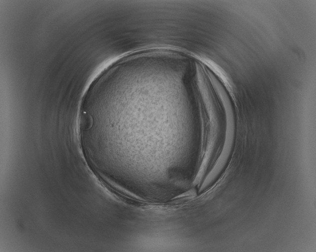 X0000116550910200912241553