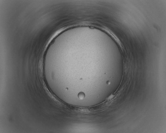 X0000116550911200912241553