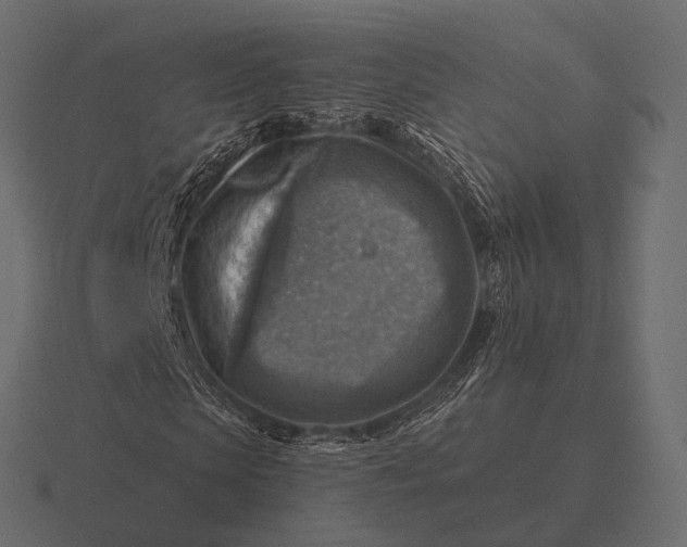 X0000116550913200912241552