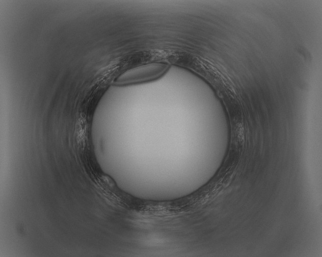 X0000116550914200912241552