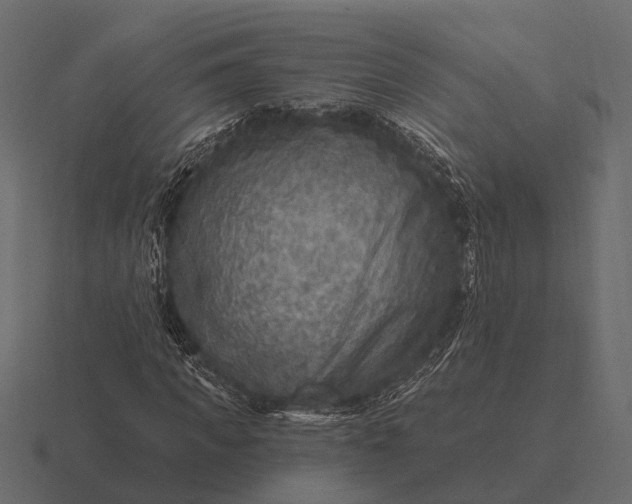 X0000116550917200912241552