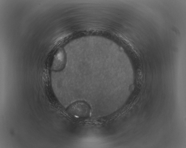 X0000116550918200912241552