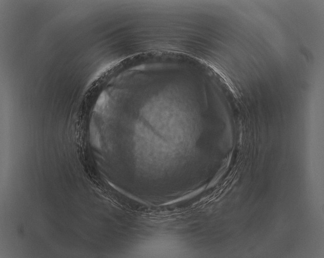 X0000116550919200912241552