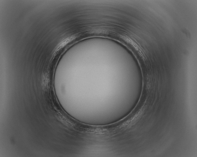 X0000116550922200912241552