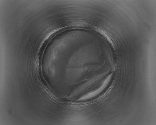 X0000116550923200912241552