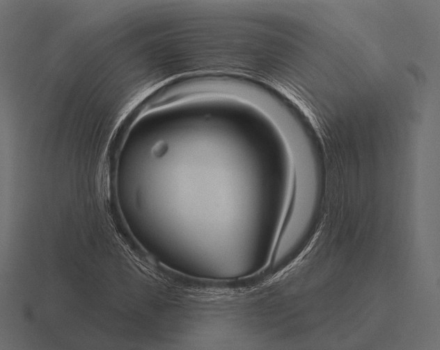 X0000116550925200912241552