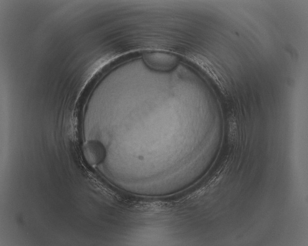 X0000116550926200912241552