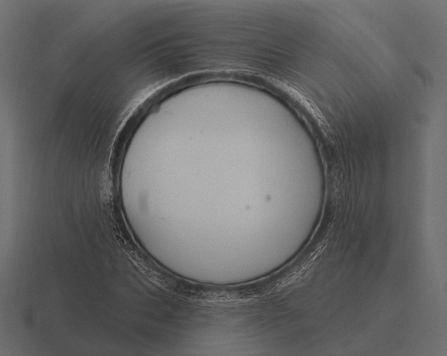 X0000116550927200912241552