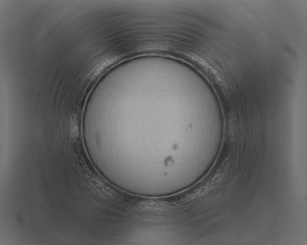 X0000116550929200912241552