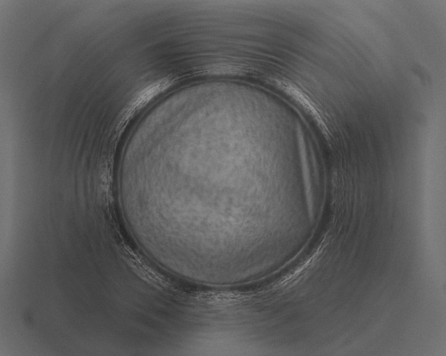 X0000116550930200912241552