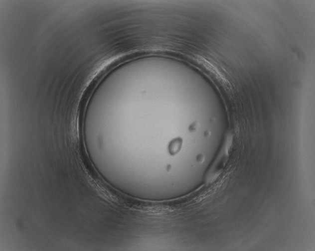 X0000116550934200912241552