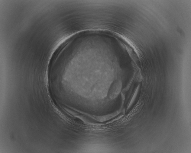 X0000116550935200912241552