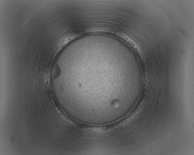 X0000116550937200912241552