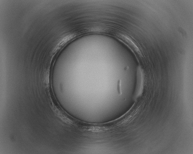 X0000116550938200912241552