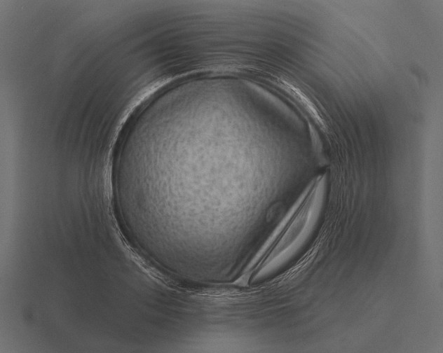 X0000116550939200912241552