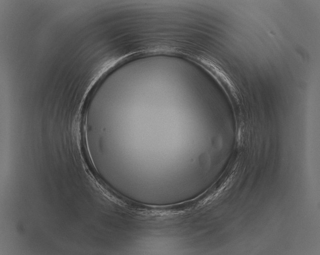 X0000116550941200912241552