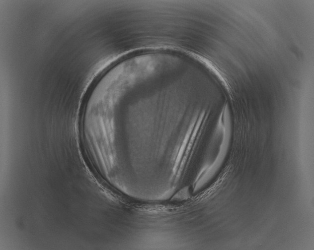 X0000116550943200912241552