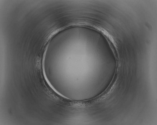 X0000116550945200912241553