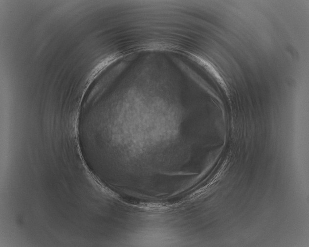 X0000116550946200912241553