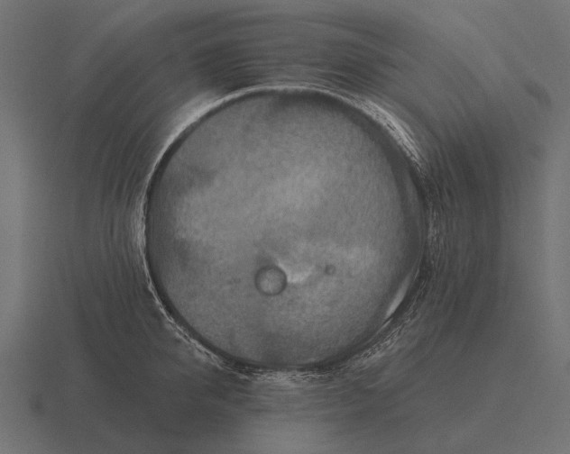 X0000116550950200912241553