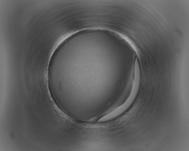 X0000116550951200912241553