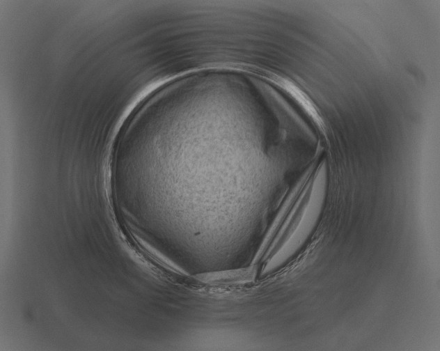 X0000116550955200912241553