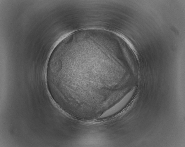 X0000116550957200912241553