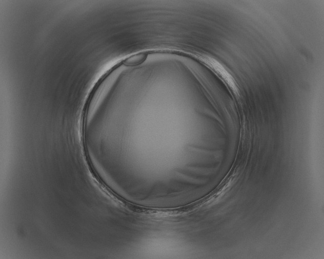 X0000116550958200912241553