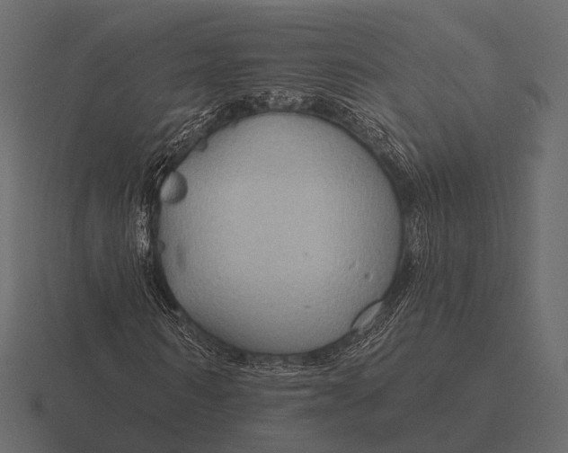 X0000116550962200912241552