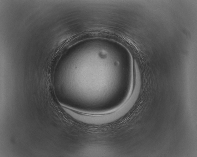 X0000116550965200912241552