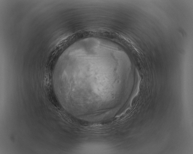 X0000116550966200912241552