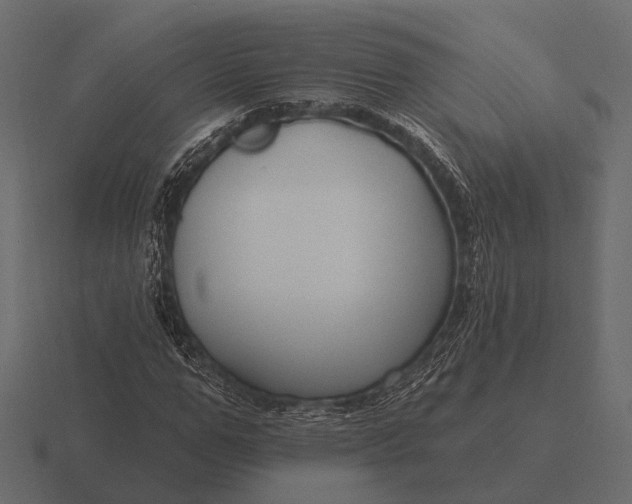 X0000116550967200912241552