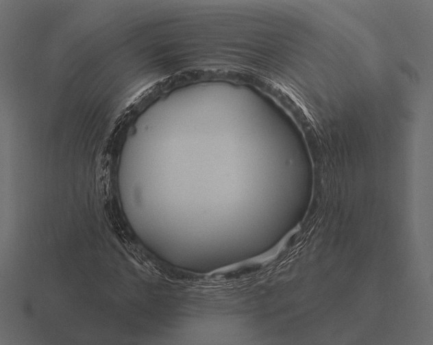 X0000116550968200912241552