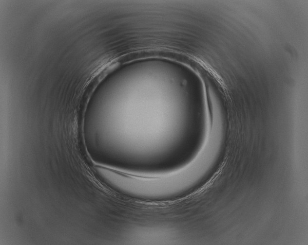 X0000116550969200912241552