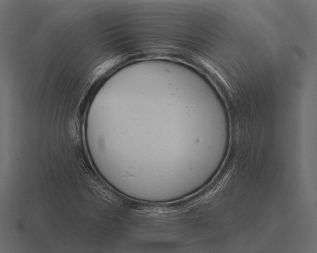 X0000116550970200912241552