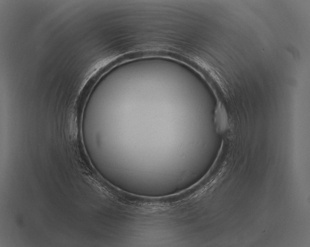 X0000116550973200912241552