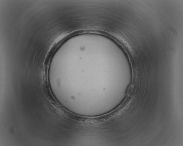 X0000116550974200912241552