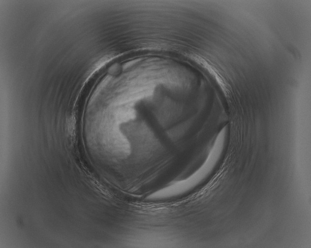 X0000116550975200912241552