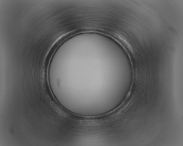 X0000116550976200912241552