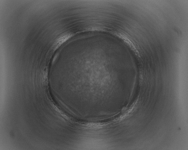 X0000116550977200912241552