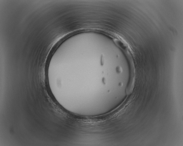 X0000116550980200912241552