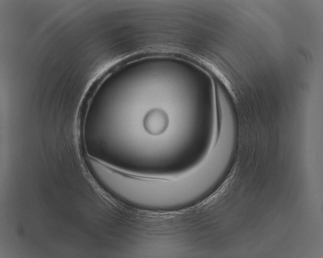 X0000116550981200912241552