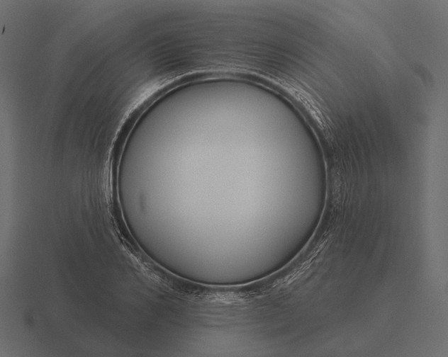 X0000116550982200912241552