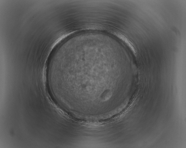 X0000116550983200912241552