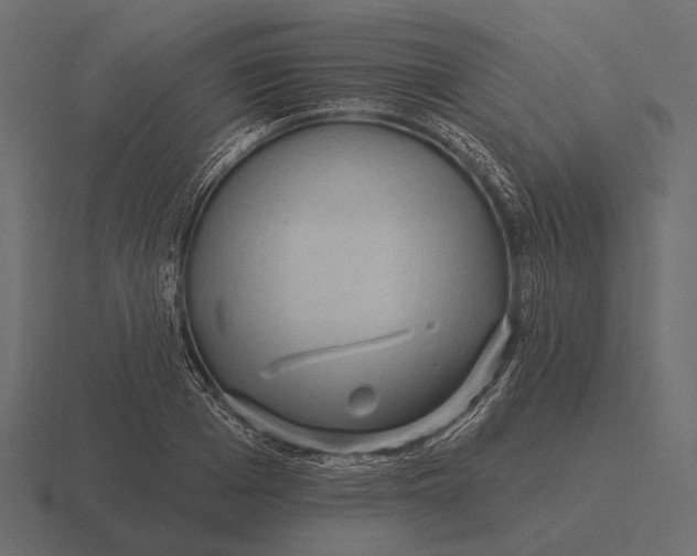 X0000116550985200912241552